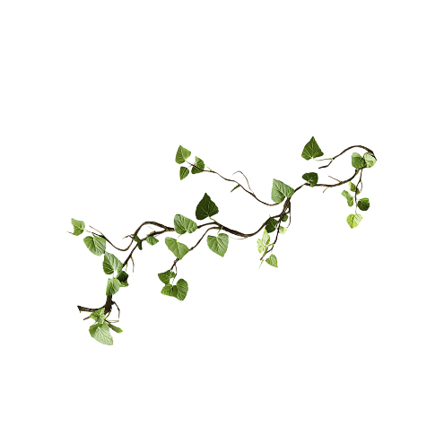 Leaf Decoration
